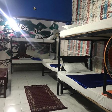 Brisbane Lodge & Hostel Kochi Dış mekan fotoğraf