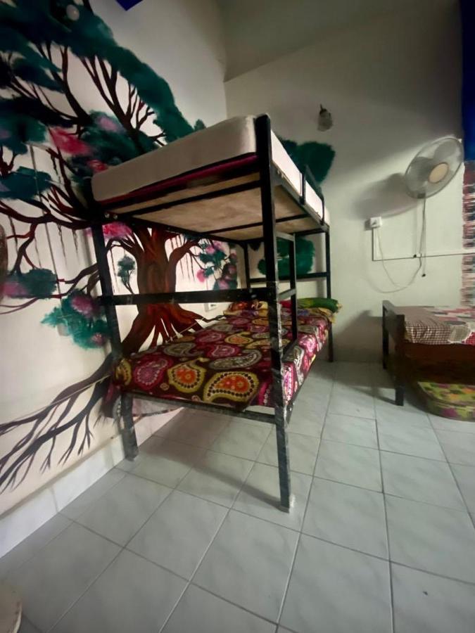 Brisbane Lodge & Hostel Kochi Dış mekan fotoğraf
